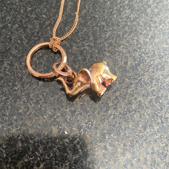 FOSSIL NECKLACE - Picture 3 of 9